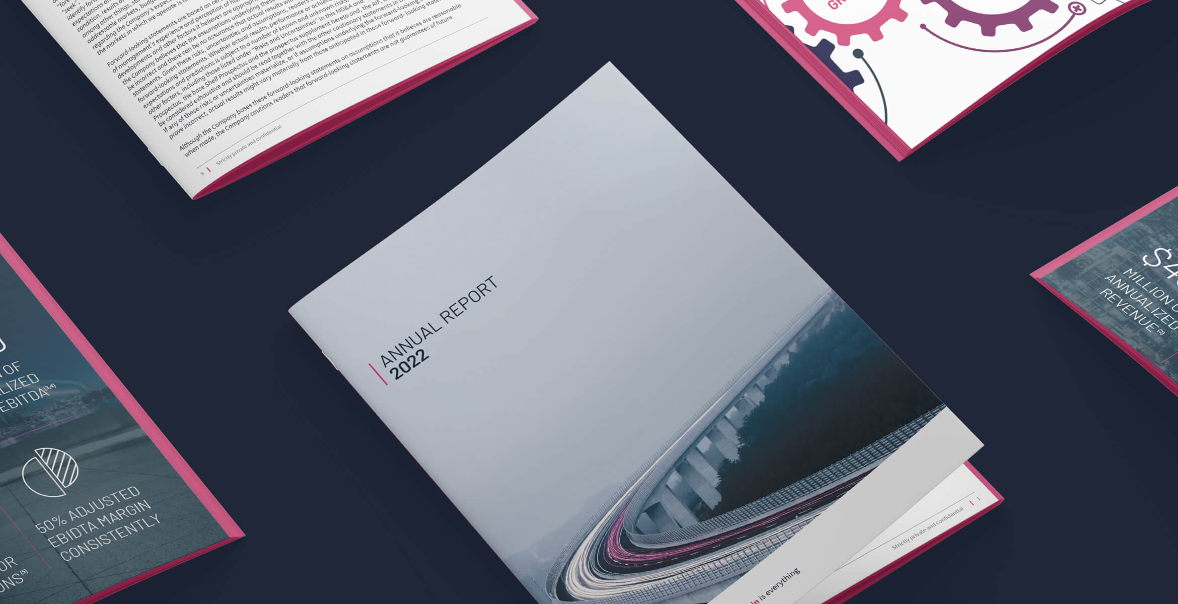 Annual report cover using D&D branding