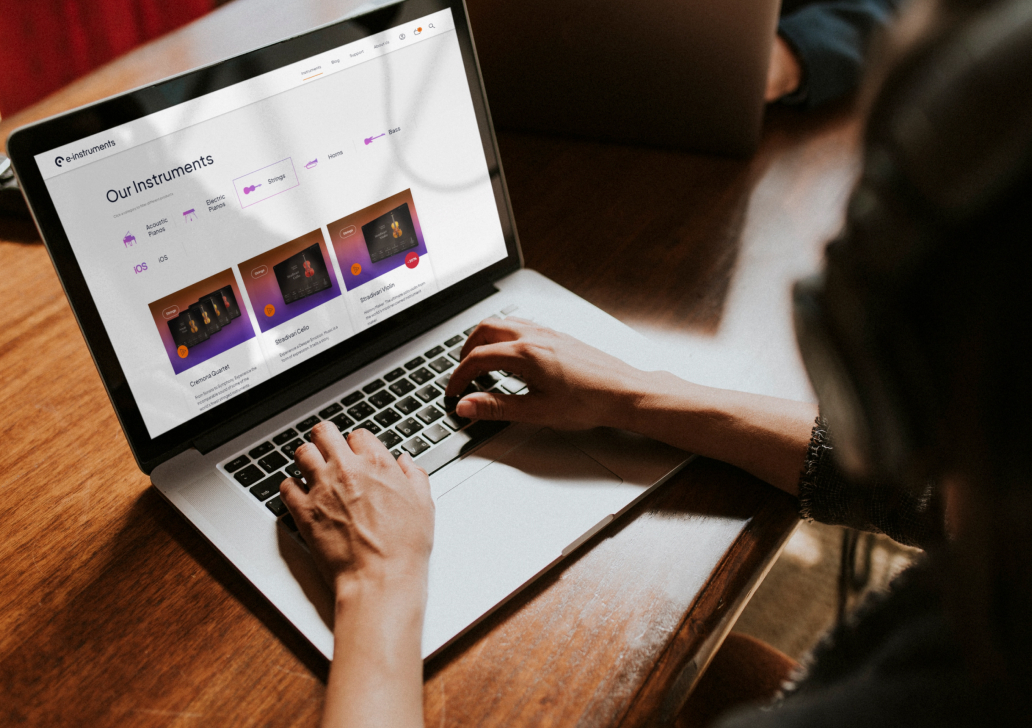 Man using laptop looking at e-instruments website